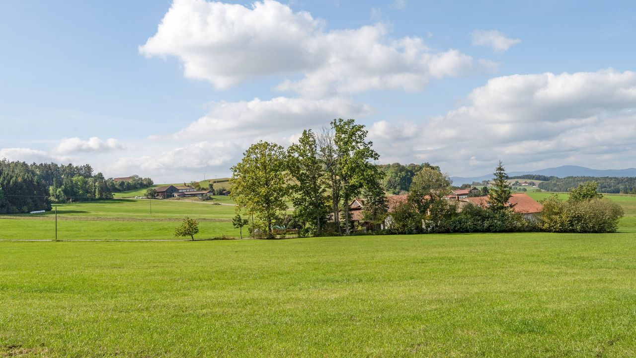 AreaSummer1KM AreaSummer1KM